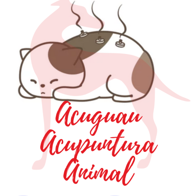 Moxibustión perro madrid Acuguau